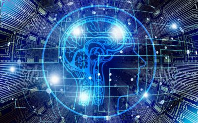 Lessons in STEM Success from Around the World
